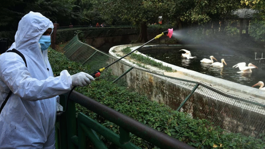 Uttar Pradesh on High Alert: Bird Flu Fears Prompt CM Yogi to Boost Zoo and Wildlife Vigilance
