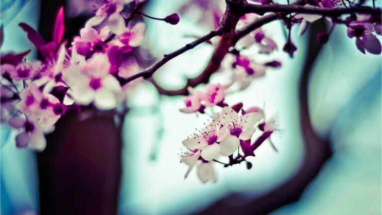 Picsum ID: 82
