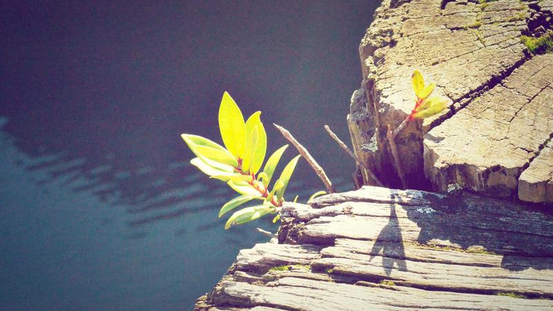 A Beginner Guide to Stock Market Investing